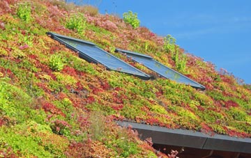 South Shore living roof systems